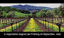Einblick aus dem Weinseminar 5