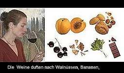 Einblick aus dem Weinseminar 6